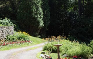 A hiking trail at Camp Mowglis